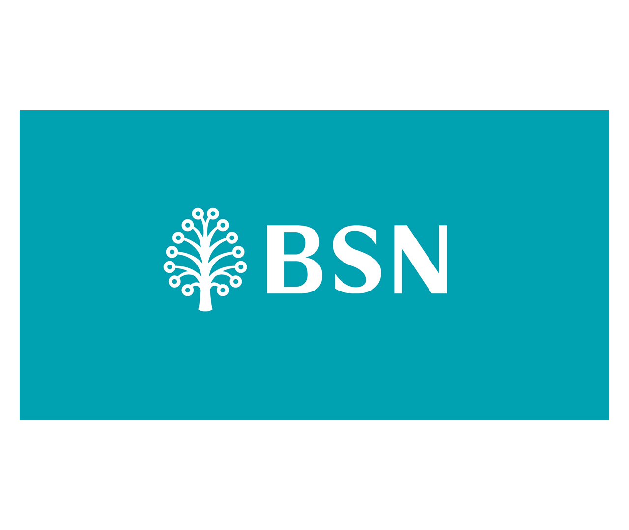 BSN
